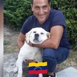 Reseña 3